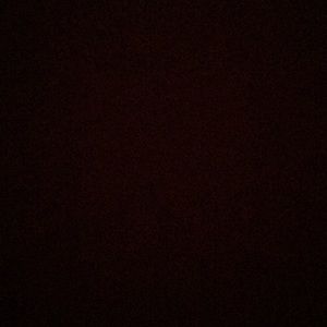 Meet your Posher, Jocelyn